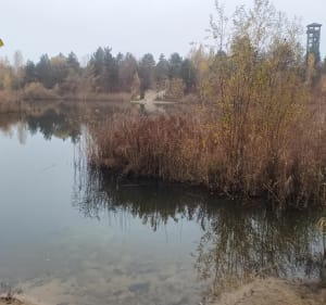 Pętla Mosina-Glinianki - Mosina - 2