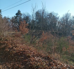 Les hauteurs de Châteauneuf par les Tardins - Châteauneuf-de-Vernoux - 2