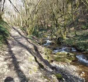 Balade dans les vignes et Saint Jeoire Prieuré - Saint-Jeoire-Prieuré - 3