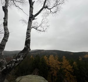 Przełęcz Karpnicka - Starościńskie Skały - Katarzyna - 3
