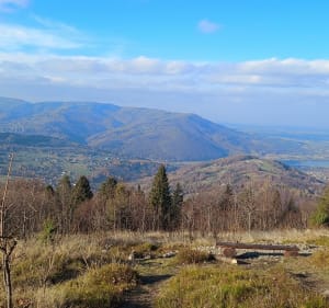 Trasa biegowa Zapora Porąbka-Żar-Kiczera-zapora. - Porąbka - 4