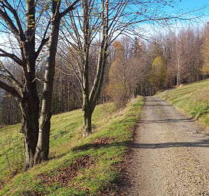 Trasa biegowa Zapora Porąbka-Żar-Kiczera-zapora. - Porąbka - 3