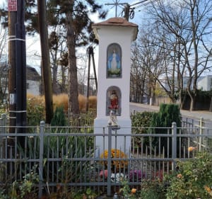 Młynówka Królewska - Kraków - 2