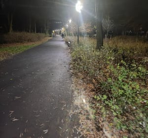 Z Botanicznej do parku Wodziczki przez Sołacz - Poznań - 2