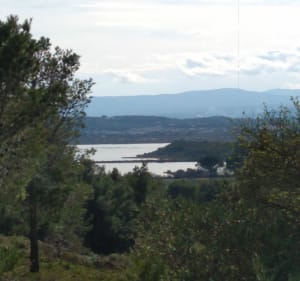 Petit parcours des crêtes à Bages - Bages - 2