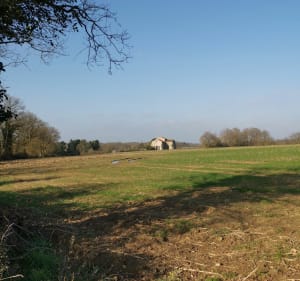 Sentier de l'abbaye Venansault - Venansault - 2