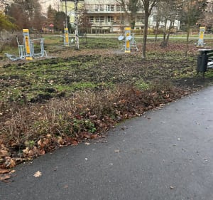 Spacer po Borku Fałęckim - Kraków - 2