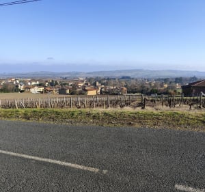Boucle au Mont d'Or et Beaujolais - Patrick - 2