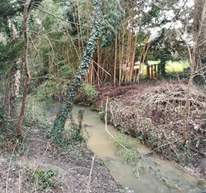 Des Clayes par forêt de Bois d'Arcy et le bois de la Crâne - Les Clayes-sous-Bois - 2