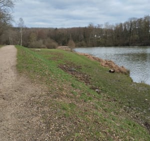Des Clayes par forêt de Bois d'Arcy et le bois de la Crâne - Eric - 4