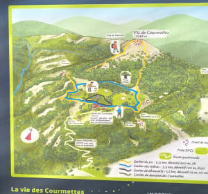 Sentier des chênes - Tourrettes-sur-Loup - 2