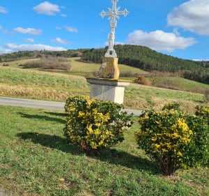 Saint Quintin sur Sioule - Jean  - 3
