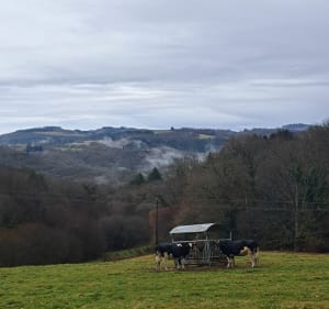 Grand circuit des gorges de la Vienne - Eymoutiers - 2