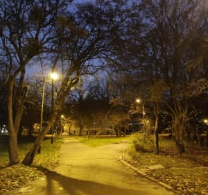 Parki i zieleńce na górnej - Łódź - 2