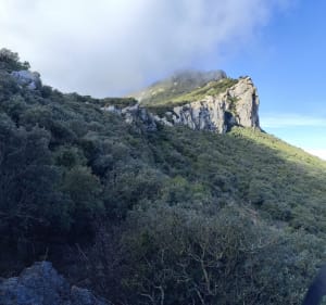 Tour du Pic Saint Loup depuis le col de Fambetou - Valflaunès - 4