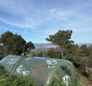 Forêt de Janas vu sur Six Fours et Toulon - Frédéric - 3