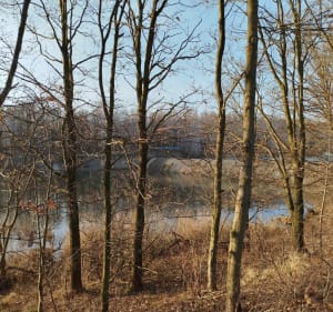 Spacerek nad Zaporą - Zabrzeg - 2