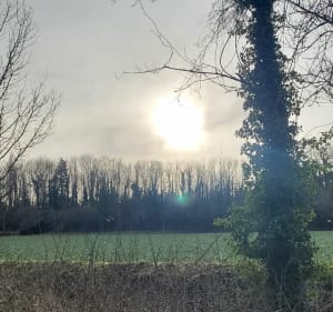 Entre Wizernes et Hallines - Vincent - 3