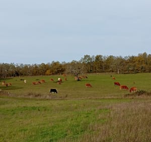 Boucle de la Peyre Dermale à Paussac, par Loubazac - Yoann - 3