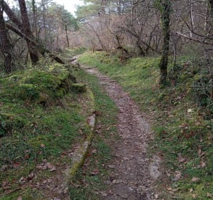 Boucle de la Peyre Dermale à Paussac, par Loubazac - Paussac-et-Saint-Vivien - 2