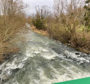 L’étang Royal à l’étang de Neuilly par les bords de l’Ouche - Neuilly-Crimolois - 2
