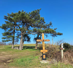 Autour de Cenves - chemin des crêtes - Cenves - 2