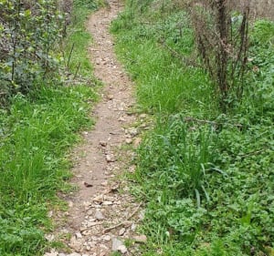 Boucle les Pedingles - Tourves - 2