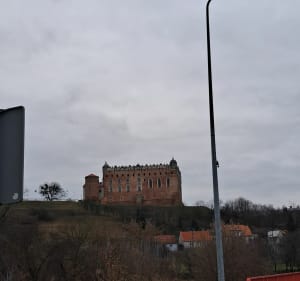 Maly spacer - Golub-Dobrzyń - 2