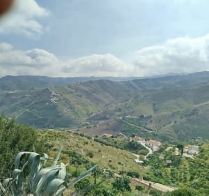 El Borge - Cutar - El Borge - 2