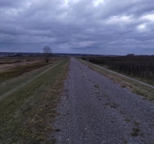 Trekking po wałach koprzywianki - Złota - 2