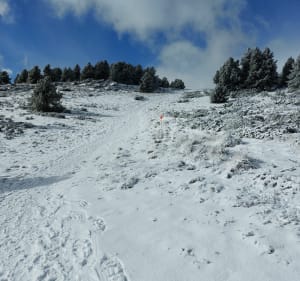 Le chalet de la Balma depuis le parking de la Calme - Font-Romeu-Odeillo-Via - 3