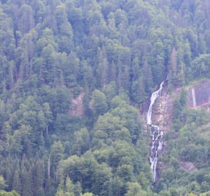 Balade à la Cascade d'Ardent depuis le lac de Montriond - Montriond - 2