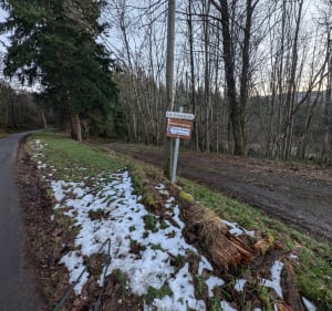 Balade en forêt avec vu sur le Puy de Dôme - Angelique - 4