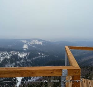 Ze Starego Lesieńca na Dzikowiec - Boguszów-Gorce - 2