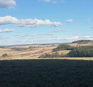 Le tour de l'étang  vieux (l'étang n'existe plus) - Gentioux-Pigerolles - 2