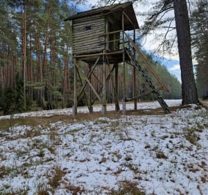 Trasa spacerowa Kowalik mazury - Ruciane-Nida - 2