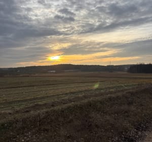 Krótka trasa przez las przy Woroszylach - Wasilków - 2