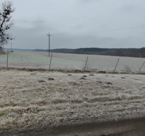 Zbąszynek -Zieleniec i Gościniec - Zbąszynek - 2