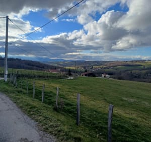 Promenade  entre campagne et village de cours et buis - Carine - 3