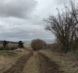 Boucle de Courmarcès en passant par Lutaud - Saint-Martin-de-Fugères - 2