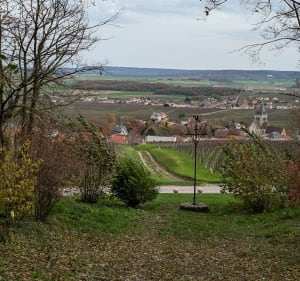 De Coulommes à la Chapelle de Saint-Die par Pargny - Coulommes-la-Montagne - 2