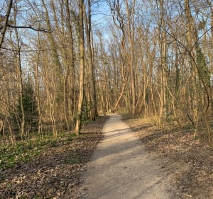 Boucle Franconville, Frépillon, Pierrelaye et Beauchamp - Franconville - 2