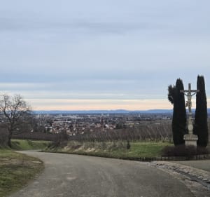 De Wettolsheim au château du Hohlandsbourg - Wettolsheim - 4