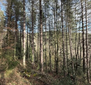 Rand des salamandres - Saint-Péray - 2