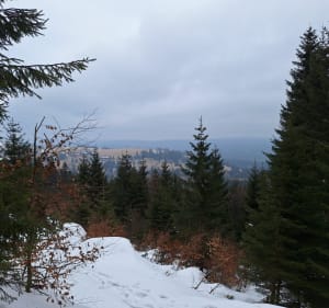 Zieleniec szlak miebirski - Szczytna - 2