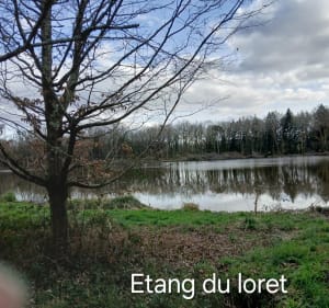 Aux alentours d'Orvault - martine - 3