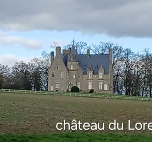 Aux alentours d'Orvault - Orvault - 2