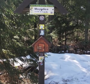 Mogielica z psinką - Chyszówki - 2