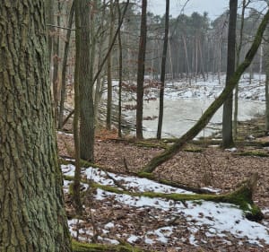 Pętla po WPNie - Krosinko - 2