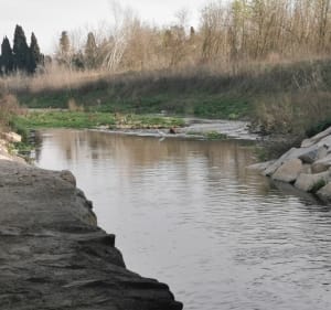 Petite balade autour des berges du Vistre depuis Lamour - Nîmes - 2